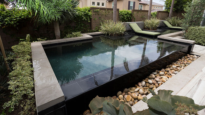 Palm-Shaded Chaise Lounger, Inground Swimming Pool