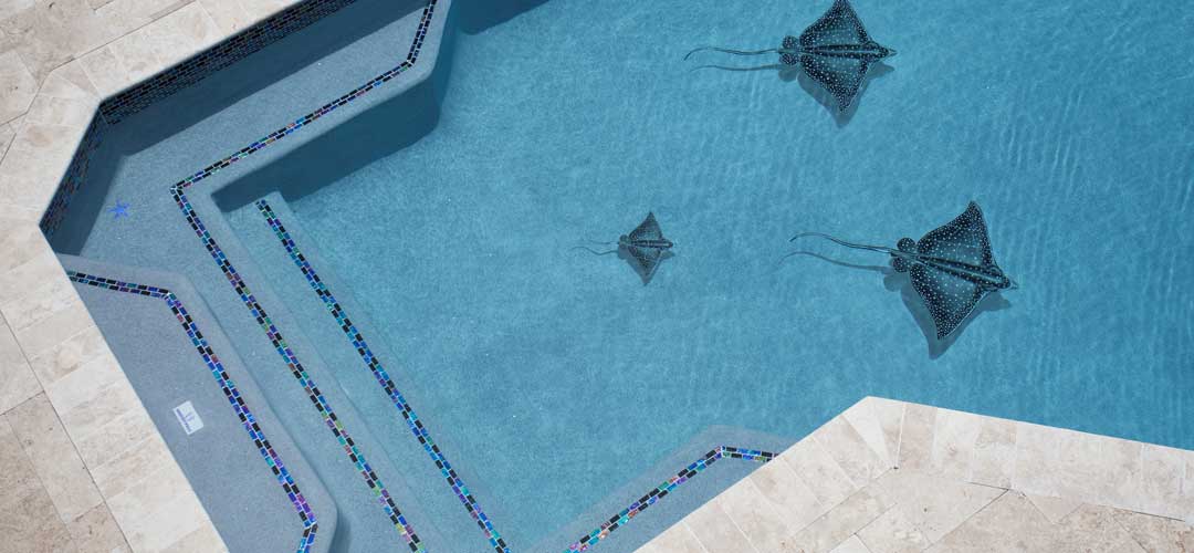  Sky Blue In Ground Pools | Backyard Pools