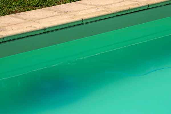 How Do you Clear Cloudy Pool Water Fast?