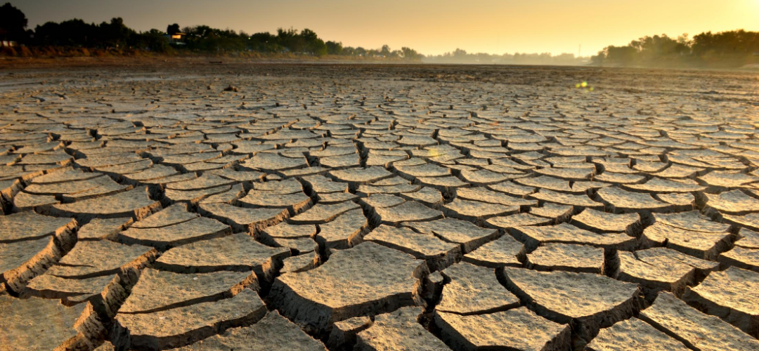 Drought