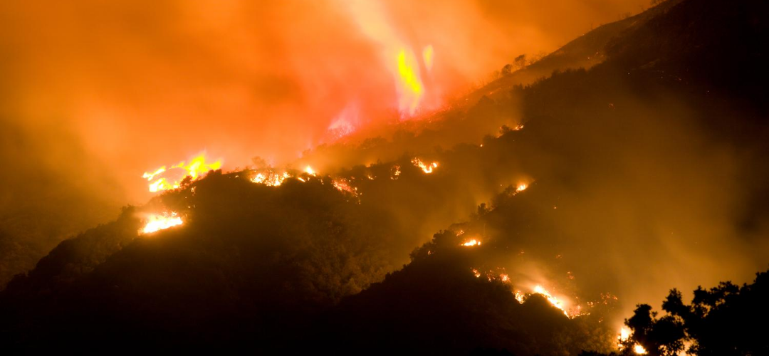 Wildfires